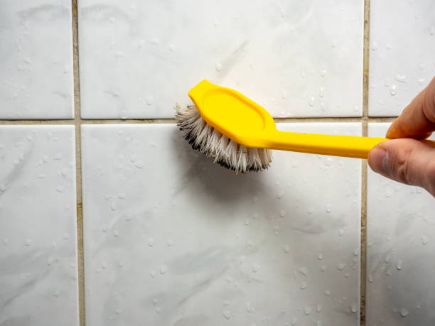 Best Black Mold Removal  in Mabton, WA