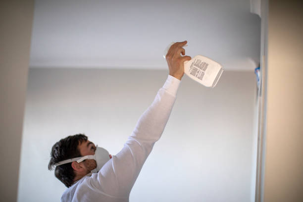 Best Attic Mold Removal  in Mabton, WA