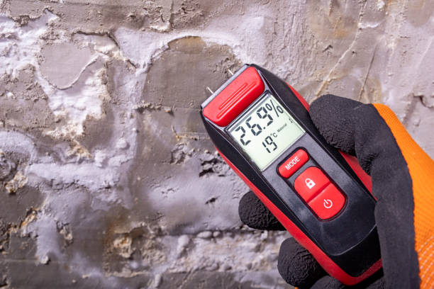 Best Office Mold Removal Services  in Mabton, WA