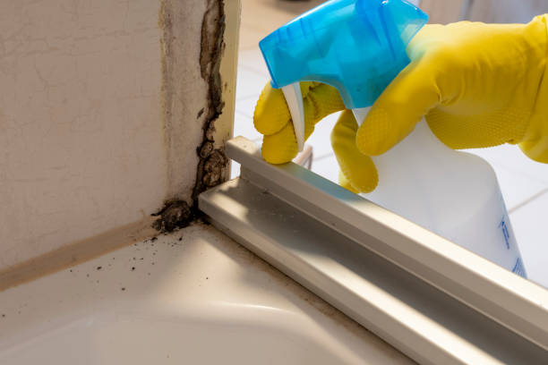 Best Crawl Space Mold Removal  in Mabton, WA