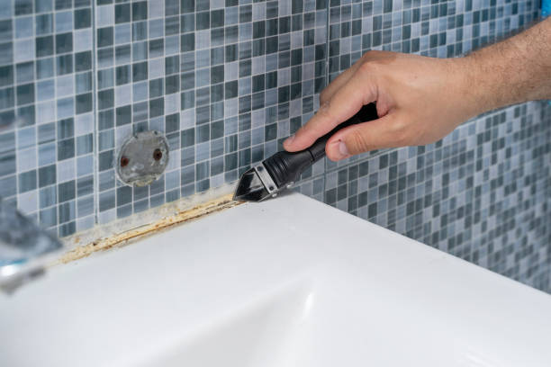 Best Residential Mold Removal  in Mabton, WA