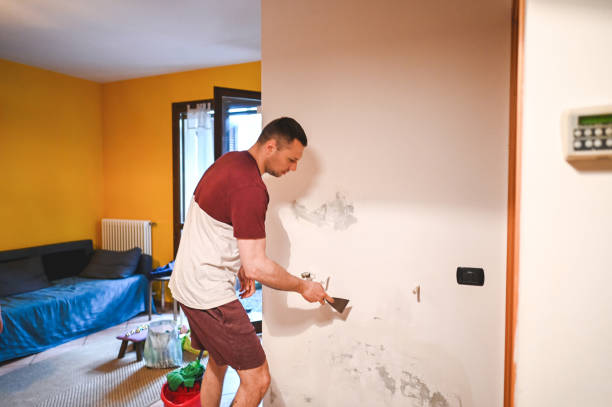 Best Mold Removal Specialists  in Mabton, WA