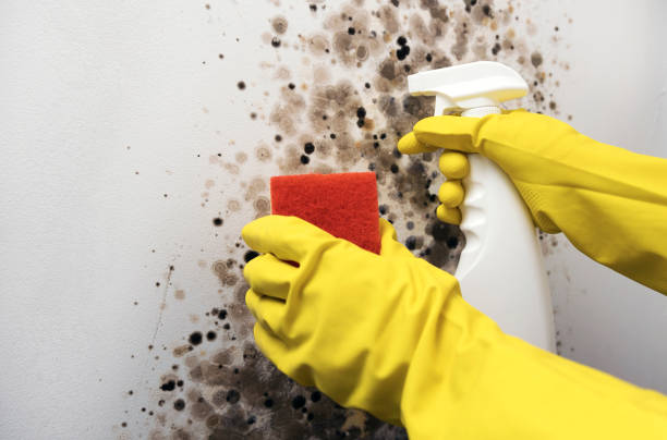 Water Damage Restoration in Mabton, WA